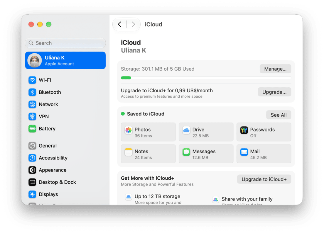 System Preferences - macOS iCloud settings showing storage usage and saved apps